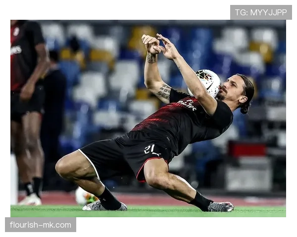 伊布身体对抗 伊布身体对抗