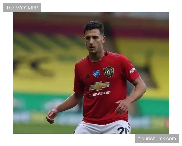 伊利亚·扎巴尔尼近期表现稳健，防守数据持续提升